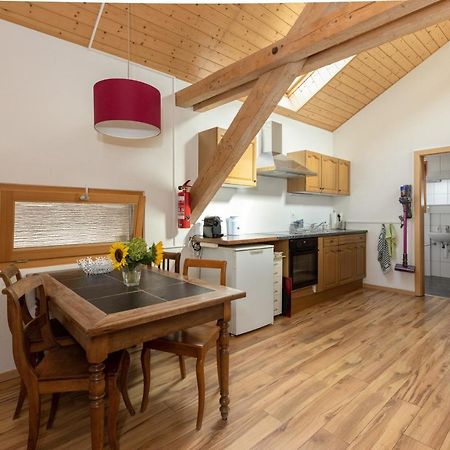 Guesthouse La Moliere, 3 Bedrooms, Private House, Horse Farm, Full Nature Murist Екстериор снимка