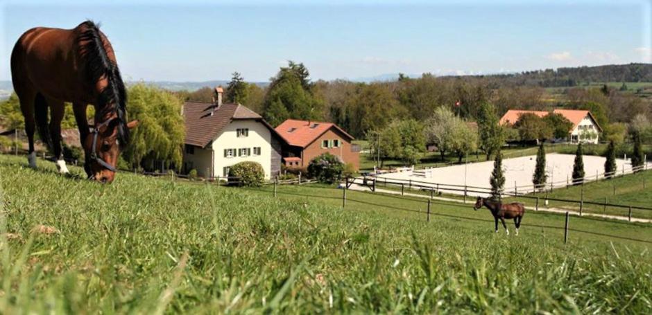 Guesthouse La Moliere, 3 Bedrooms, Private House, Horse Farm, Full Nature Murist Екстериор снимка